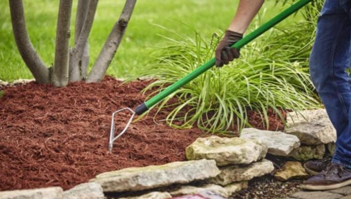 mulching