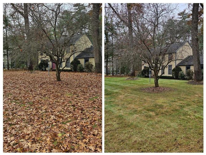 Fall Clean Up